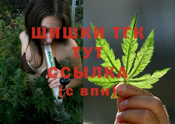 СК Беломорск