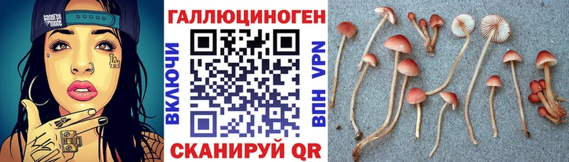 Галлюциногенные грибы прущие грибы закладки Раменское