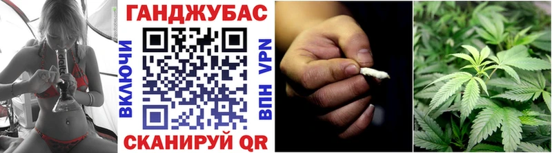 Конопля VHQ  как найти   Раменское 